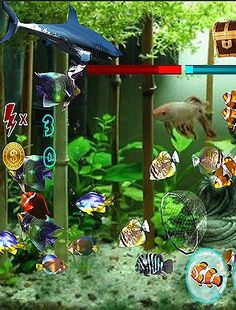 Go Fishing - Screenshot 2