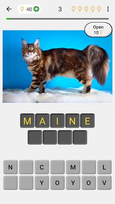 Cats Quiz Guess Popular Breeds - Screenshot 1