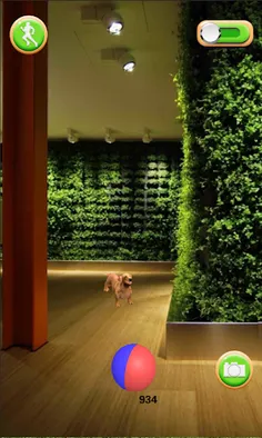 Puppy GO - Screenshot 4