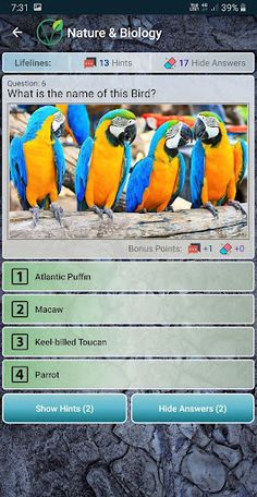 Visual Quiz Unlimited - Screenshot 3