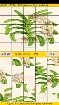 ttp08 - Screenshot 1