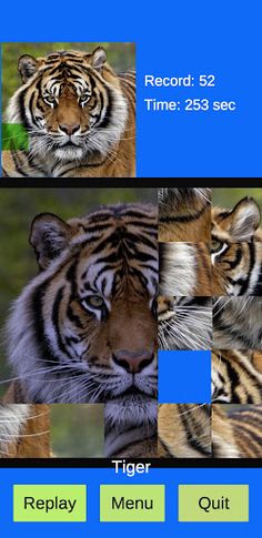 PhotoPuzzle - Screenshot 2