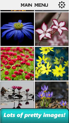 Flower Slide Puzzle - Screenshot 2