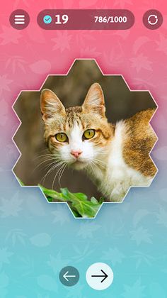 Relax hexa puzzle - Screenshot 4