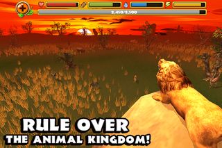 Safari Simulator: Lion - Screenshot 2