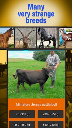 Animal weight Quiz - trivia - Screenshot 4