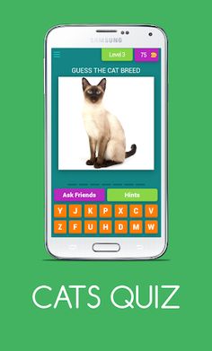 CATS QUIZ - Screenshot 4