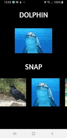 Animal Sounds - Screenshot 3