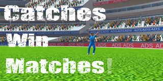 Catches Win Matches ! - Screenshot 1