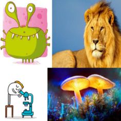 Canlılar Dünyası - Screenshot 3