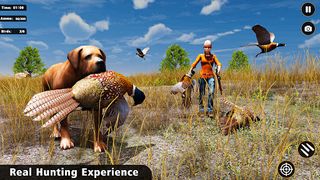 Pheasant birds hunting Games - Screenshot 2