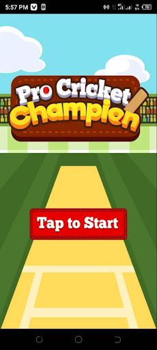 Pro Cricket Champion - Screenshot 2