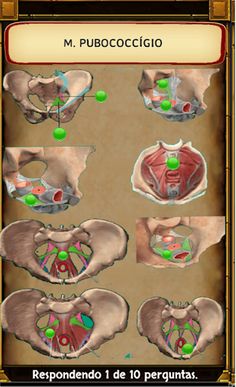 Jogando Anatomia (Completo) - Screenshot 3