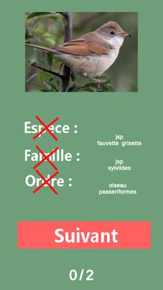 Ois - Reconnaissance des oisea - Screenshot 3