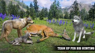 Angry wolf simulator game - Screenshot 1