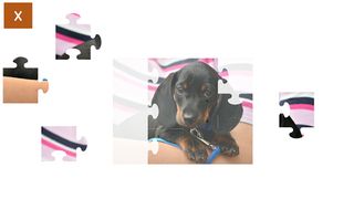 Jigsaw Puzzles: Dogs and Puppi - Screenshot 2