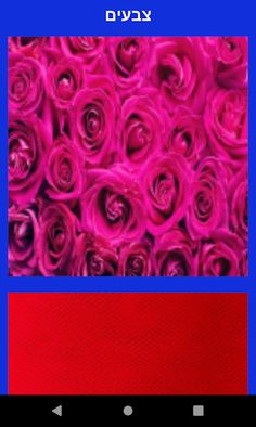 לומדים בכיף אנגלית עם יניר - Screenshot 3