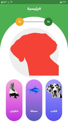 تعلم اسماء الحيوانات - Screenshot 4