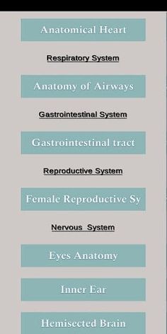 AR in Anatomy - Screenshot 4