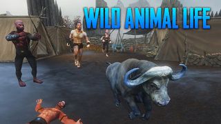 The Buffalo - Animal Simulator - Screenshot 2