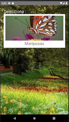 Rompecabezas de Mariposas - Screenshot 1