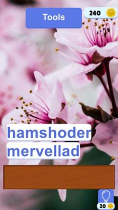 Word Slice - Screenshot 3