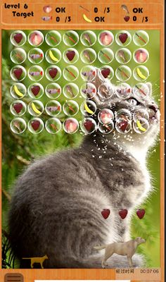 Pet Bubble - Screenshot 1