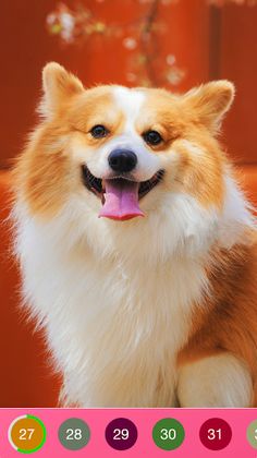 Pixel Art - Paint by Number - Screenshot 4