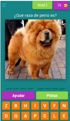 ALL QUIZ: Razas de perro - Screenshot 4
