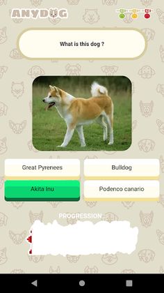 Anydog - Screenshot 3