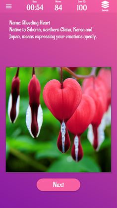 Flowers Slide Puzzle - Screenshot 3