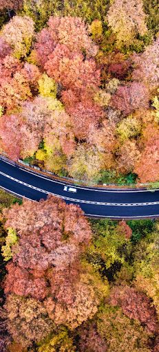 Secluded bays - Screenshot 3