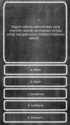 Game Edukasi Sistem Pencernaan - Screenshot 2