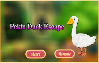 Free New Escape Game 97 Pekin - Screenshot 1
