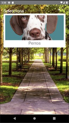 Rompecabezas de Perros - Screenshot 1