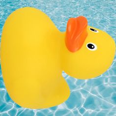 Pato Girando - Screenshot 2