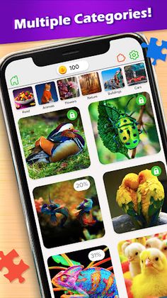 HD Jigsaw Puzzles Sorting Game - Screenshot 2