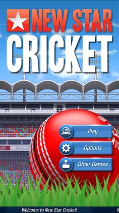 New Star Cricket - Screenshot 1