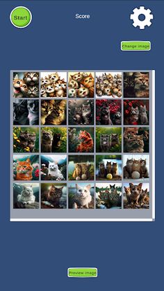 Barley-break cats - Screenshot 1