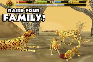 Cheetah Simulator - Screenshot 3
