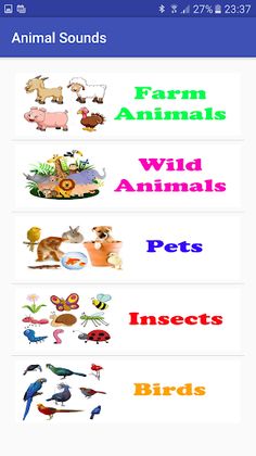 Animals Sounds - Beta - Screenshot 1