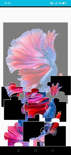 Betta Fish Game Puzzle Jigsaw - Screenshot 3
