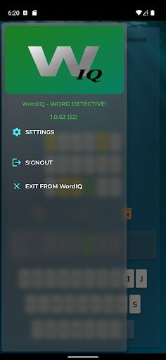 WordIQ - Word Detective - Screenshot 4