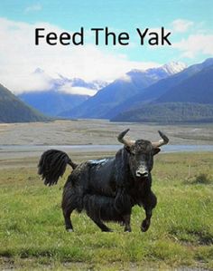 Feed The Yak - Screenshot 1