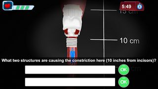 Gamifying Anatomy - Screenshot 3