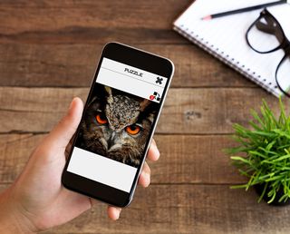 Owl Slide Puzzle - Screenshot 1