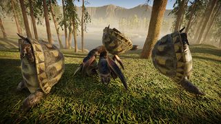 Turtle Life: Wild Survival Sim - Screenshot 1