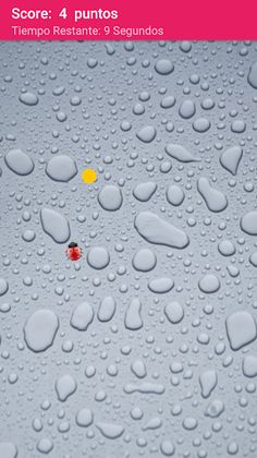 MARIQUITA GLOTONA - Acción cas - Screenshot 3