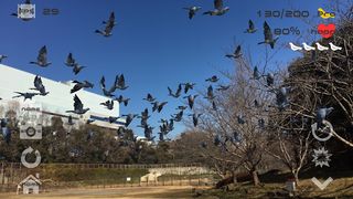 Anywhere Pigeon AR - Screenshot 1