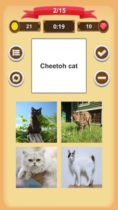 Cats Quiz - Screenshot 4